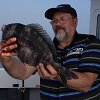 Black Bream - img 1032