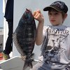 Black Bream - Junior Fun