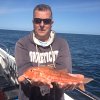 Red Mullet