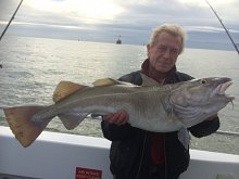 20lb Cod on Whiting Gear !